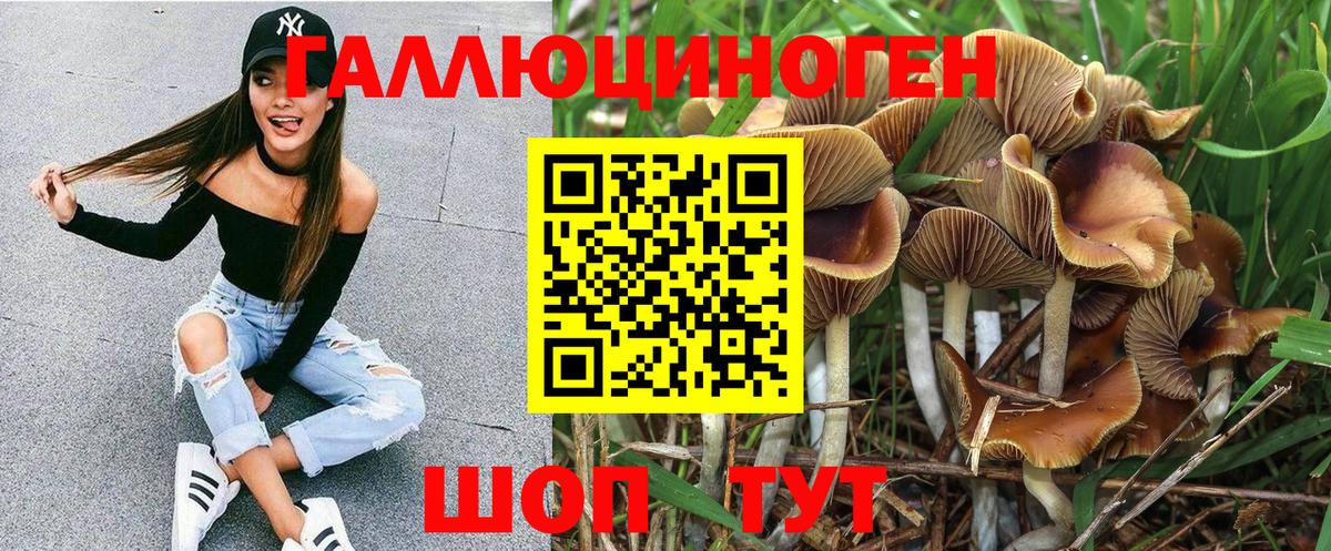 Калуга  Псилоцибиновые грибы мицелий  Вход с VPN 