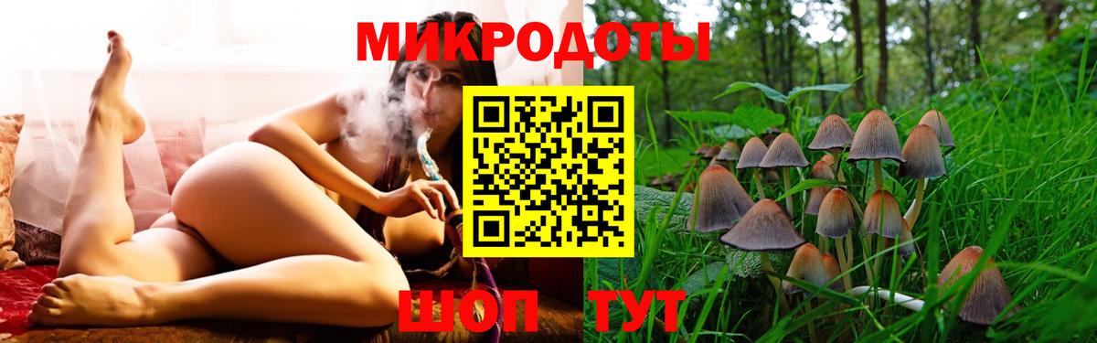 Псилоцибиновые грибы GOLDEN TEACHER Калуга